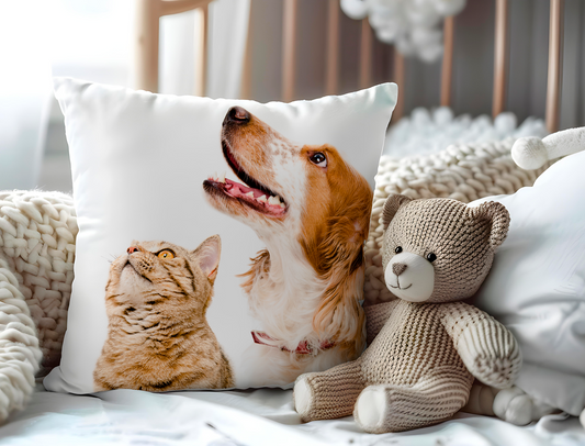 BlueKai Transfers: Premium Custom Pillows